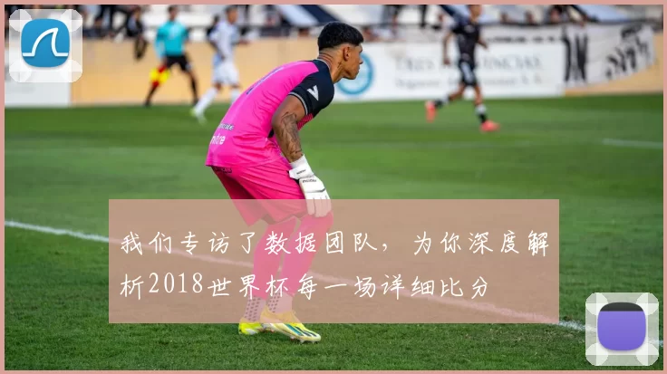 我们专访了数据团队，为你深度解析2018世界杯每一场详细比分