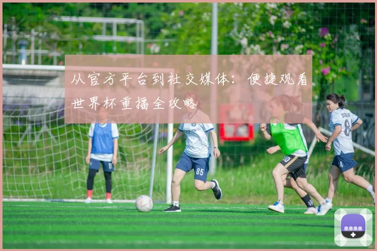 从官方平台到社交媒体：便捷观看世界杯重播全攻略