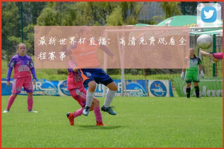 最新世界杯直播：高清免费观看全程赛事