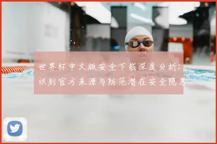 世界杯中文版安全下载深度分析：识别官方来源与防范潜在安全隐患