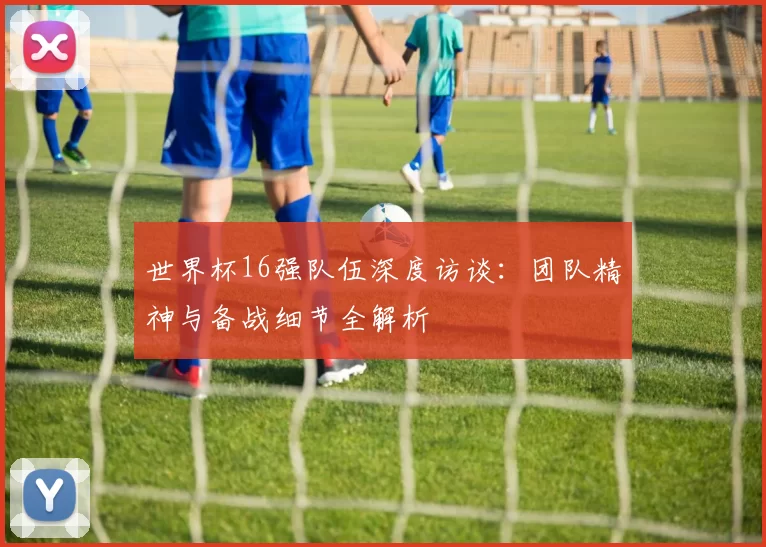 世界杯16强队伍深度访谈：团队精神与备战细节全解析