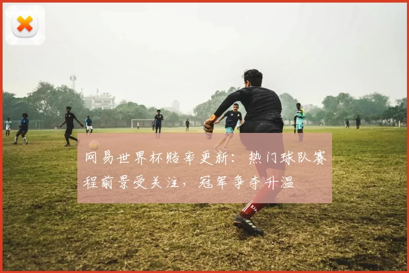网易世界杯赔率更新：热门球队赛程前景受关注，冠军争夺升温