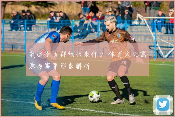 奥运会吉祥物代表什么 体育文化寓意与赛事形象解析