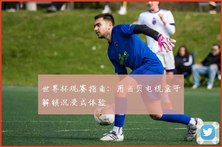 世界杯观赛指南：用当贝电视盒子解锁沉浸式体验