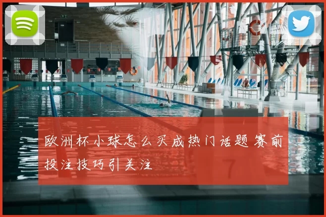 欧洲杯小球怎么买成热门话题 赛前投注技巧引关注