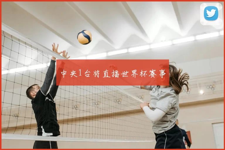中央1台将直播世界杯赛事