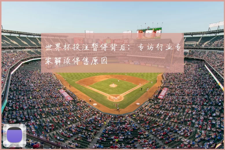 世界杯投注暂停背后：专访行业专家解读停售原因