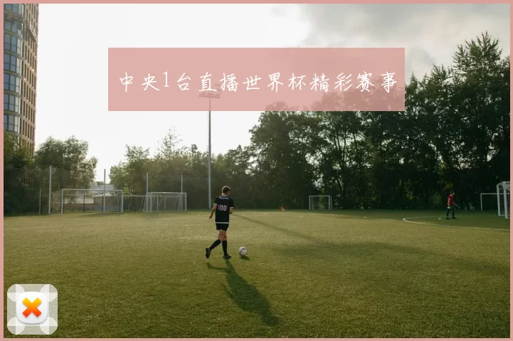 中央1台直播世界杯精彩赛事