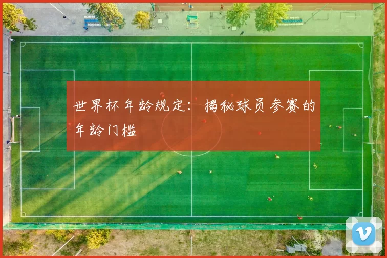 世界杯年龄规定：揭秘球员参赛的年龄门槛