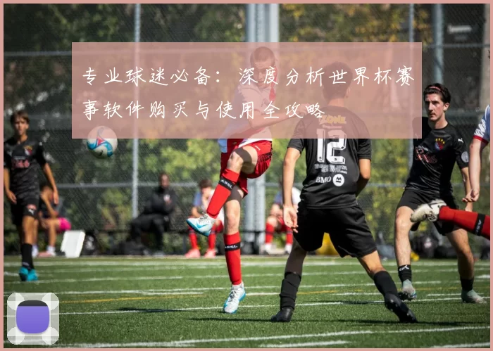 专业球迷必备:深度分析世界杯赛事软件购买与使用全攻略