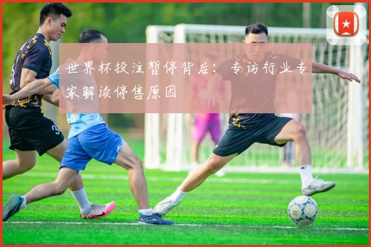 世界杯投注暂停背后：专访行业专家解读停售原因